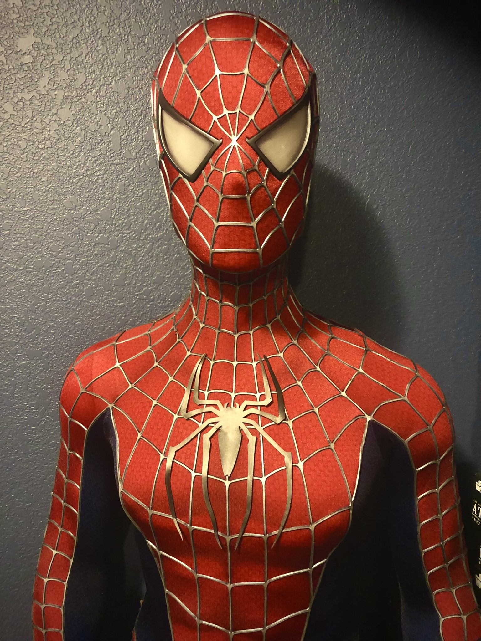 SP Productions on Twitter: "Forgot just how amazing this suit looks! 😍 Get  it…? Amazing…? 😉 @SpiderMan @SpiderManMovie #SpiderManNoWayHome #SpiderMan  #spidey #spideyplanet #costume #cosplay https://t.co/iS23jEsrP7" / Twitter