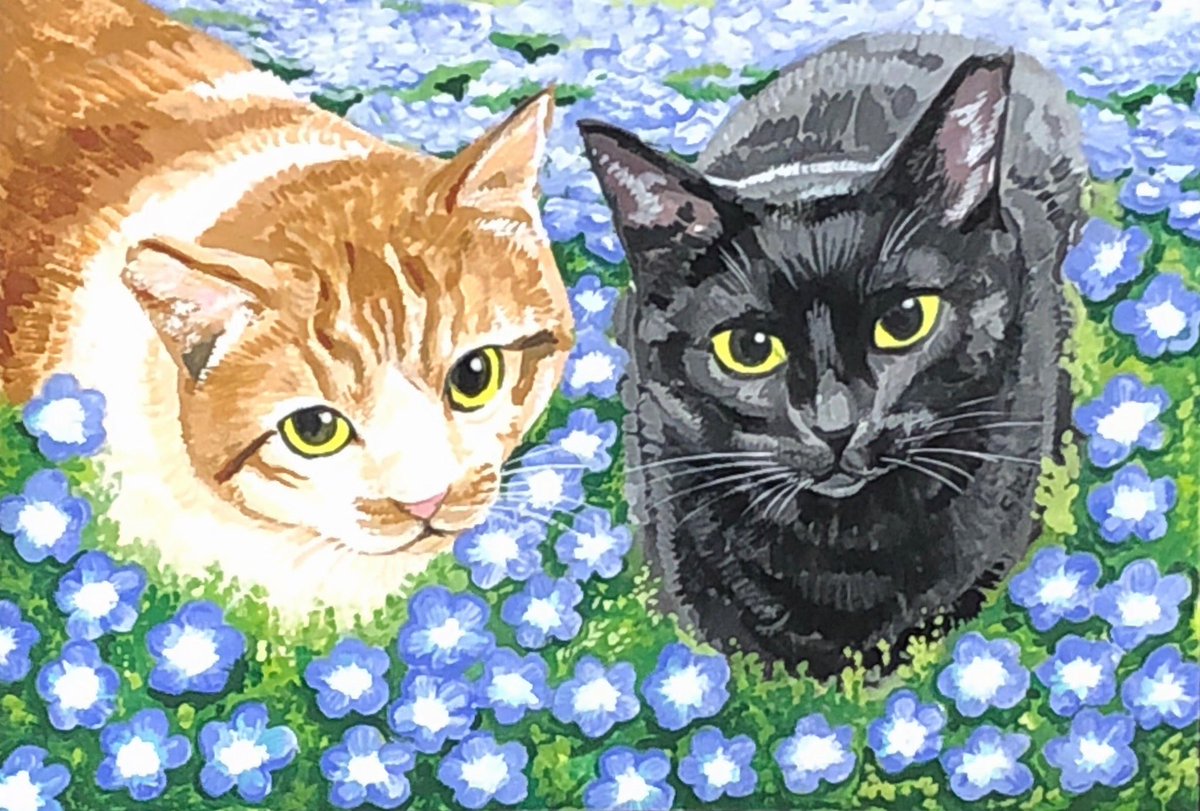 OniTatu99's tweet photo. 朝のニャンコ詰め合わせ🐾🐈🐈‍⬛✨🐾
おはようございます☀️☀️☀️☀️🌸☀️
今日は、仲良しもふもふニャンコさんを集めてみました🥰🥰🐈‍⬛🐾
🐈🐾
#猫好きさんと繋がりたい https://t.co/gbd7TqOQMv