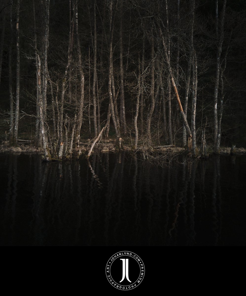 colicoid's tweet photo. This photo has that painterly feel that I always strive for. Its all about the tones and it reminds me of John Bauers mystical paintings. It is not obvious, but the picture is actually taken with a drone giving it a slightly higher vantage point. #fineart  #fineartphotography https://t.co/ZBSe2L7aKa