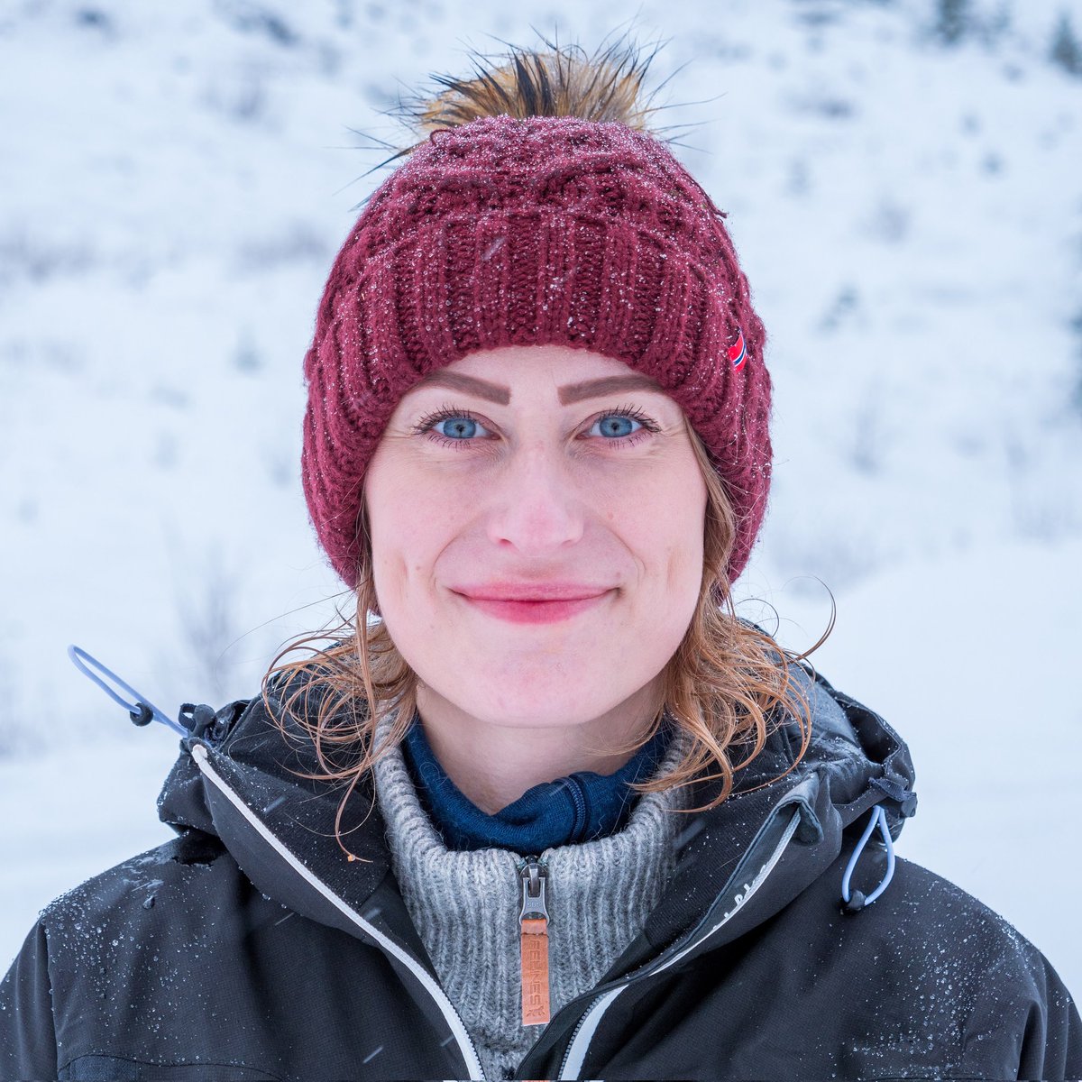 BBrobakke's tweet photo. #NyttProfilbilde https://t.co/3anKotateu
