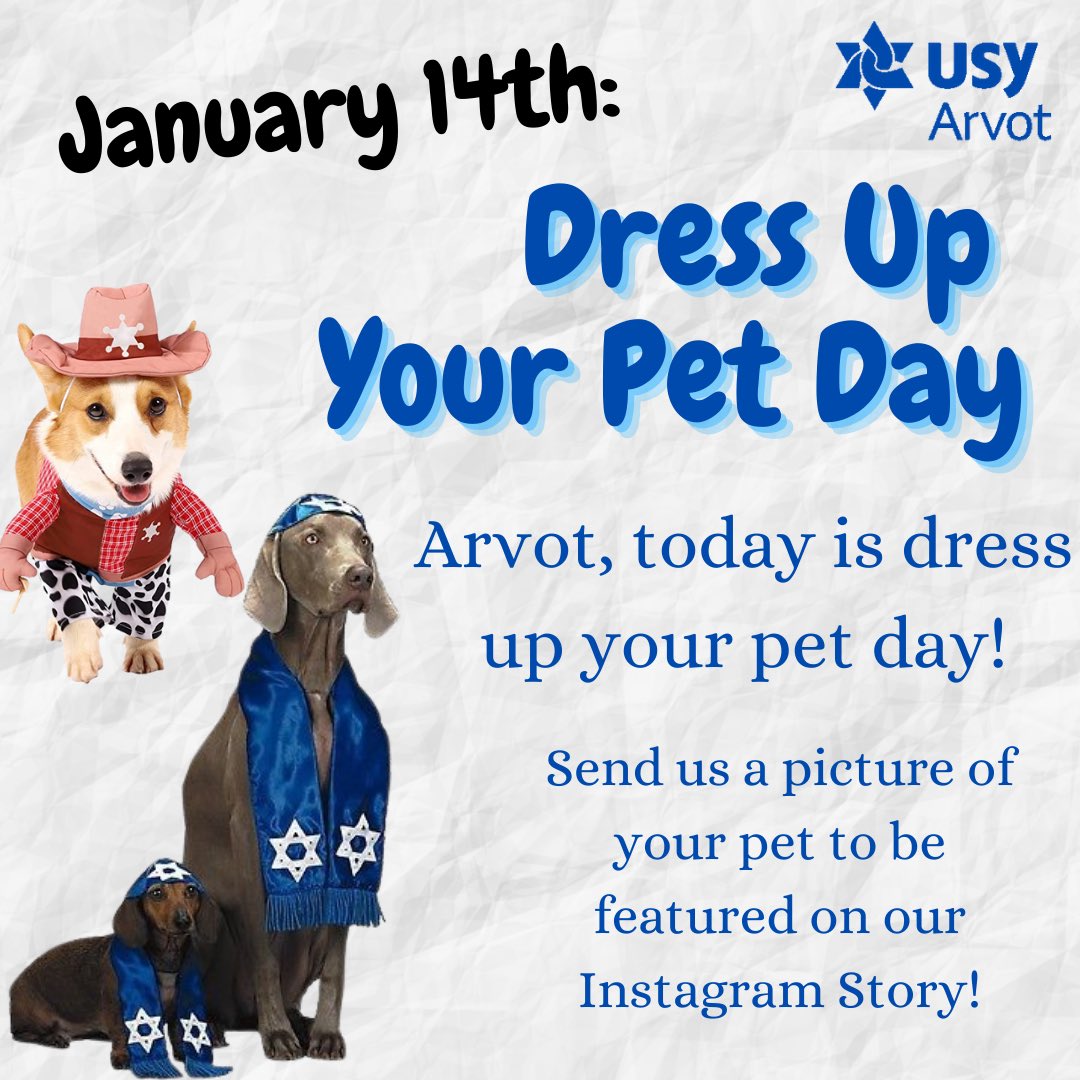 ArvotUSY's tweet photo. Do something fun and dress your dog up for Dress Up Your Pet Day! Shabbat Shalom Arvot! https://t.co/rWaWrCrcun