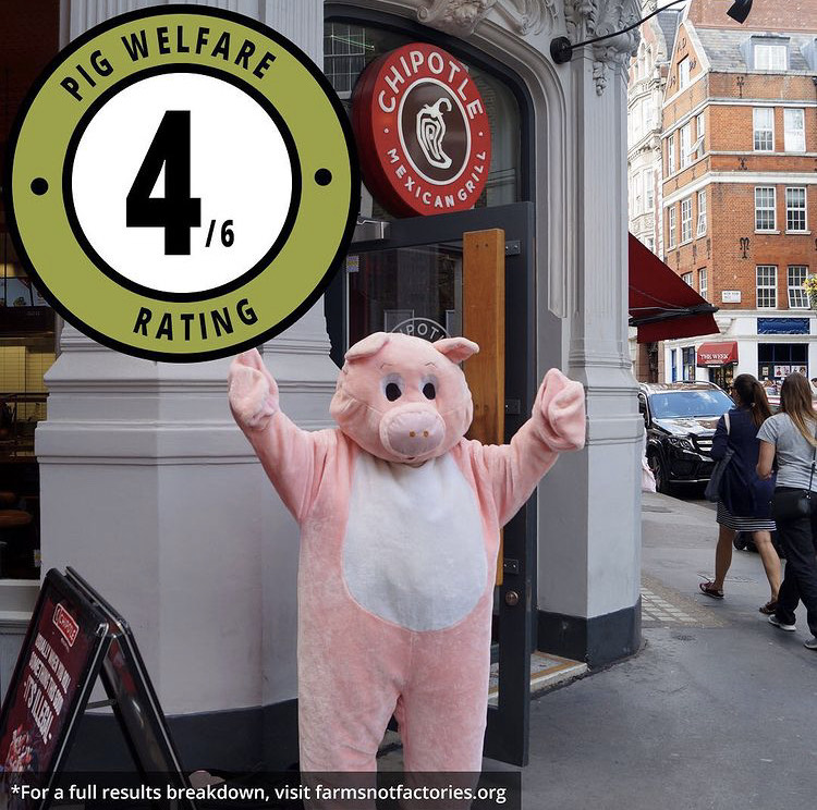 farmsnotfactory's tweet photo. 🌮 All pork served at @wahaca and @ChipotleUK comes from outdoor-reared pigs, making their Mexican-inspired dishes better quality than others such as @tortillauk.
#PigsInChains #RootingforRealFarms https://t.co/xXTeO7PBMG