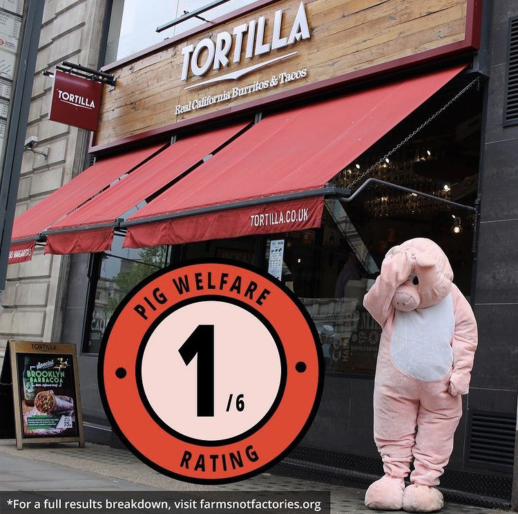 farmsnotfactory's tweet photo. 🌮 All pork served at @wahaca and @ChipotleUK comes from outdoor-reared pigs, making their Mexican-inspired dishes better quality than others such as @tortillauk.
#PigsInChains #RootingforRealFarms https://t.co/xXTeO7PBMG