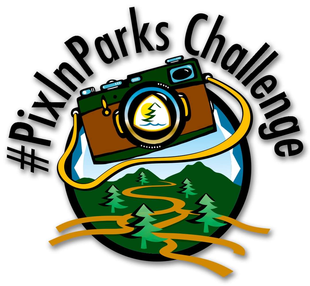 SCCParks's tweet photo. Hello, #PixInParks fans! Due to staffing shortages, #PixInParks 2022 is still in development and will debut later this year. Stay tuned and thank you for your patience! Please subscribe to our montly e-blast newsletter here:
https://t.co/GVNeG3GBrz https://t.co/w6Idin3Mse