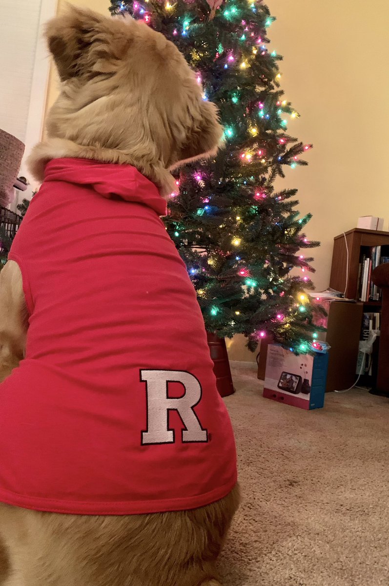 lil_kat9's tweet photo. @RUAthletics Big Rutgers girl https://t.co/UrLTiYR6lo