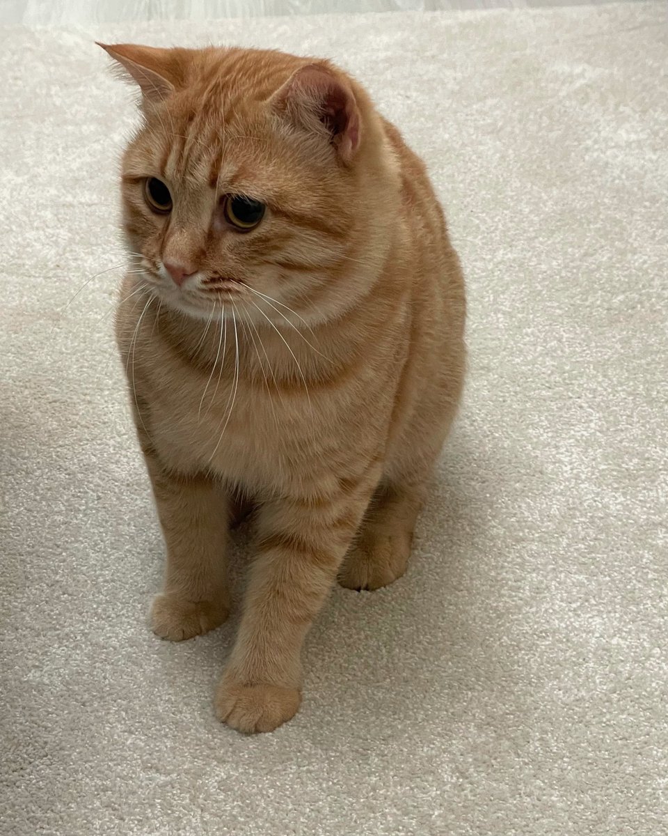 shailkaa's tweet photo. look at the little asshole https://t.co/jP2MFzGCtN
