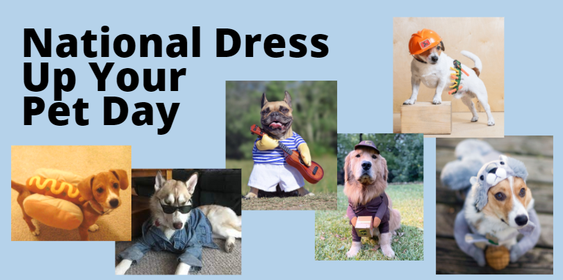 It's National Dress Up Your Pet Day and we want all the pics! Halloween costumes, reindeer antlers, snow suites, we want all of them.