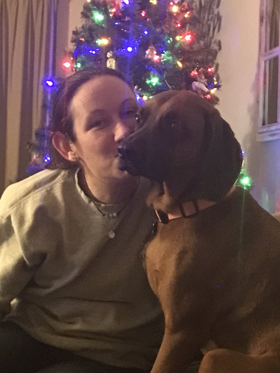 OttoRedboneRuns's tweet photo. Still feeling merry, yo.
♥️, 🐾
#DogsofTwittter https://t.co/n3XkVrv4gv