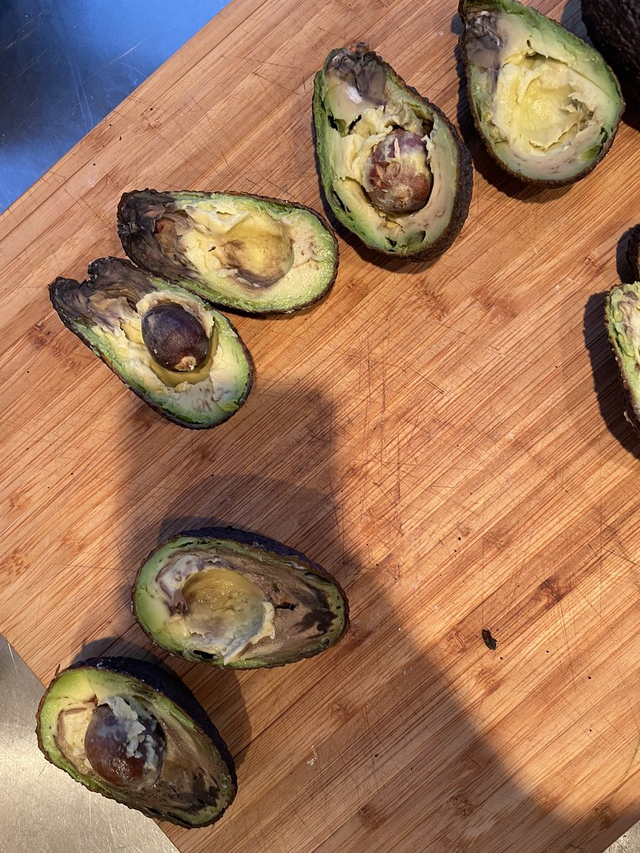 ghhamar's tweet photo. @BragiValdimar Avocadogæðum heimsins er misskipt https://t.co/zqBhNjtxeG