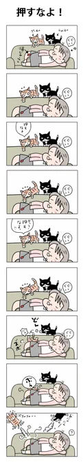 押すなよ!#こんなん描いてます #自作まんが #漫画 #猫まんが #4コママンガ #NEKO3 