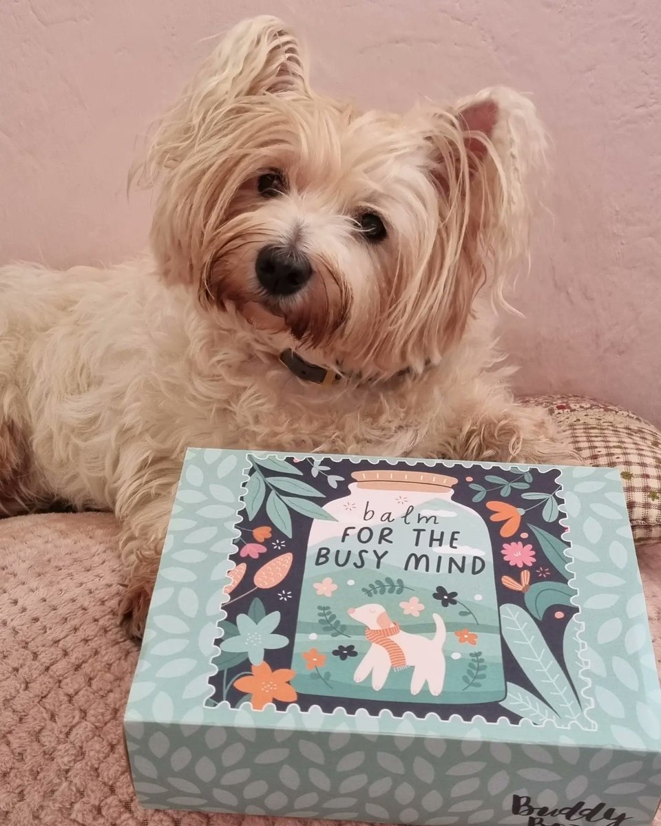 StarlettCrowley's tweet photo. Check out this months #blurtbuddybox by the amazing @BlurtAlerts @theblurtfoundation
The theme for January 2022 is BALM FOR THE BUSY MIND β€οΈ
Follow & support the wonderful people at @BlurtAlerts
We look pawards to doing some STARIGAMI π π€©
#health
#mentalhealth
#wellbeing https://t.co/GRp82xKAA2