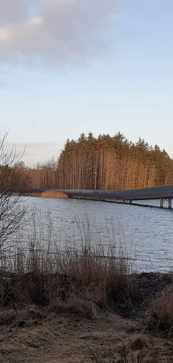 clorinda_ferral's tweet photo. Puente de madera. El sol salió y fue un gran pretexto para disfrutar esta vista en el lago cerca de la comunidad de #Bryne #bosquesconmagia #norway 🇧🇻💯❤🏔 https://t.co/QyS7cwFxFj
