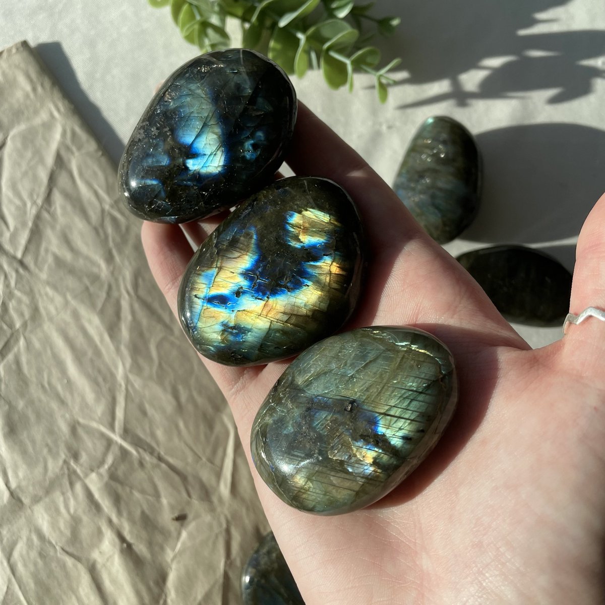 sincerelysprite's tweet photo. A few favorites from this restock! How beautiful are they😭🤩 https://t.co/7RD5yiZSbu