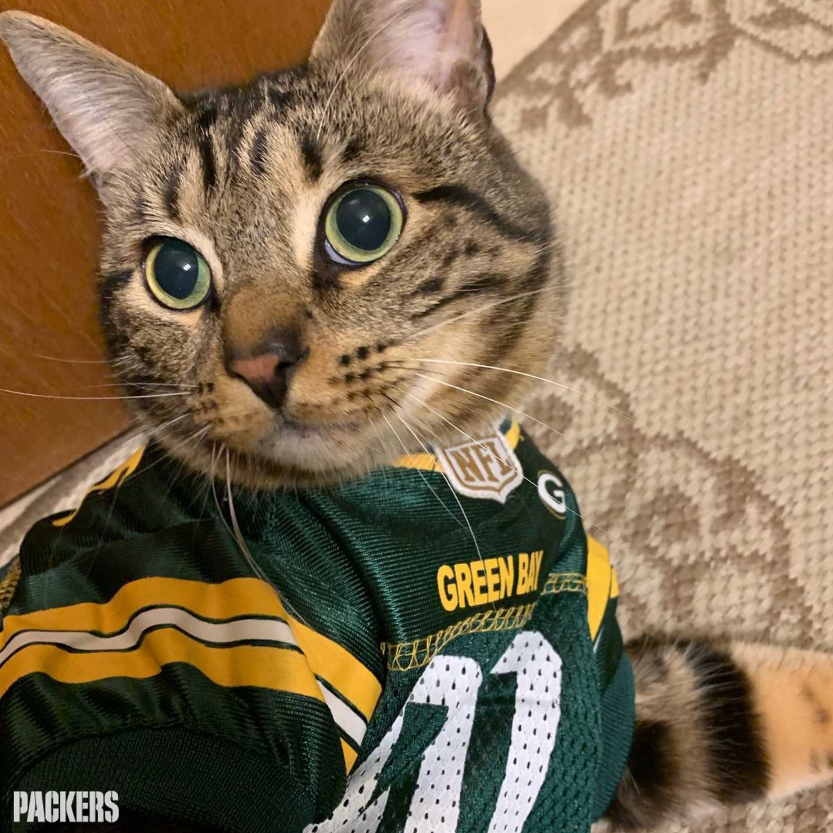 Green Bay Packers tweet media