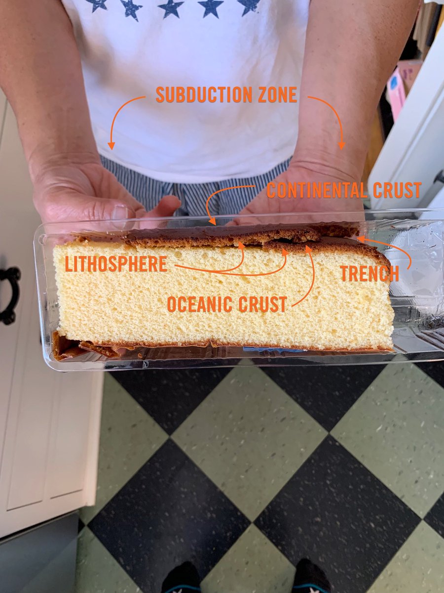 fromaged's tweet photo. Clear example of castella cake as a Subduction zone. Read enough John McPhee and the Sierra Nevadas just come to you. 
Not pictured is the crumble zone. #atethemantle #johnmcpheeisnotontwitter

@MarthaMcPhee https://t.co/31fvcZ8Ypf
