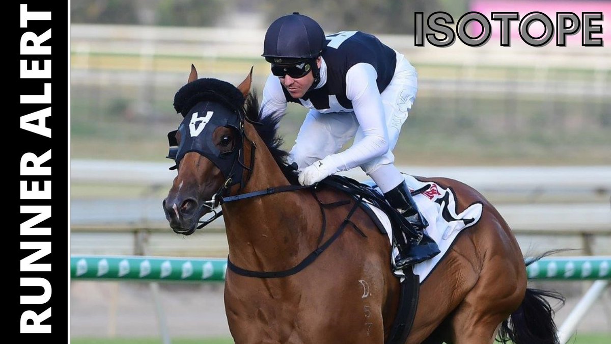Black_Soil_Bsk's tweet photo. 🚨 RUNNER ALERT

🏇 ISOTOPE
➡️ @tonygollan
➡️ Gold Coast, Race 5, Magic Millions Snippets, 1200m, 2:35pm.
➡️ Ryan Maloney (55.5kg), Barrier 8.

For an exclusive pre-race update, sign up to our free supporter’s club at https://t.co/LLOPIxMbk0 https://t.co/aUehJXnqbc