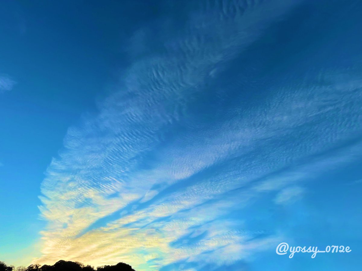 おはようございます。☀️ 今日も良い1日になりますように🙏