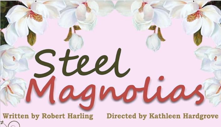 TheatreSE2's tweet photo. Southeastern Oklahoma State University’s Department of Theatre has cancelled its production of STEEL MAGNOLIAS.  

The health and safety of our students and patrons is Theatre at Southeastern’s top priority. https://t.co/ybM7nDcQvJ