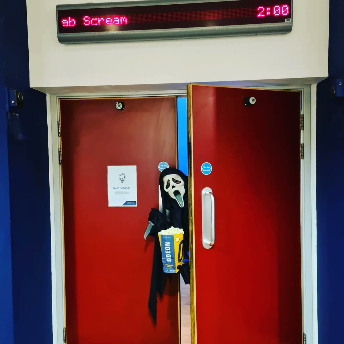 Pot16J's tweet image. What's your favourite scary movie...#Scream 
#SeeScream #Ghostface #stab #Sydney