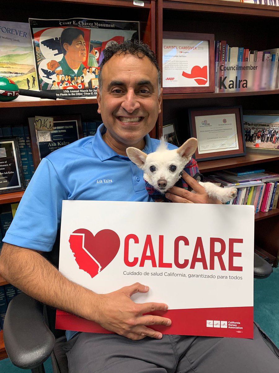 Ash_Kalra's tweet photo. Skipper insisted o posing with the sign! #DressUpYourPetDay #CalCare #AB1400 https://t.co/aW7sWeer4w