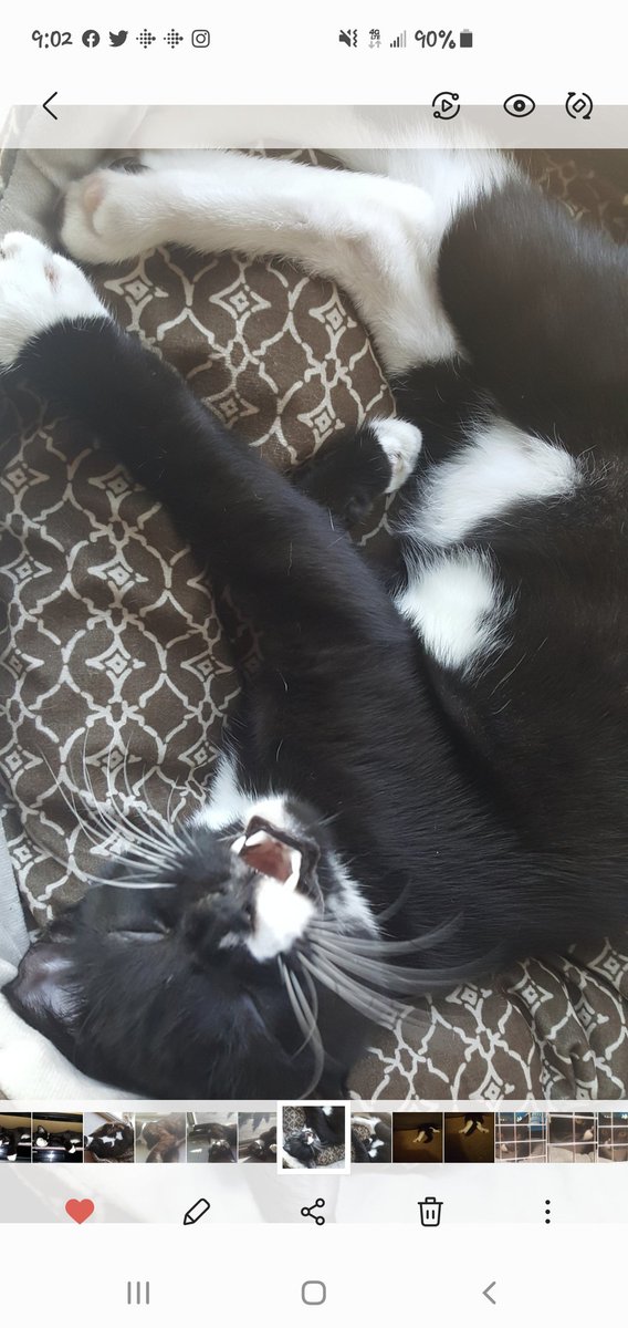 Queen_Deeva's tweet photo. @AdamParkhomenko One of my favorite pictures of George! https://t.co/MMomLLJOSg