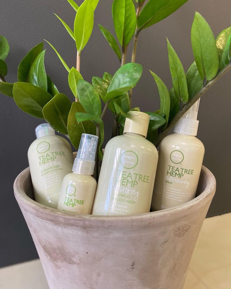 PaulMitchellUS's tweet photo. @izelsalonpr (IG) agrees #TeaTreeHemp will grow on you 💚🌿 https://t.co/hMqD5SC2oR