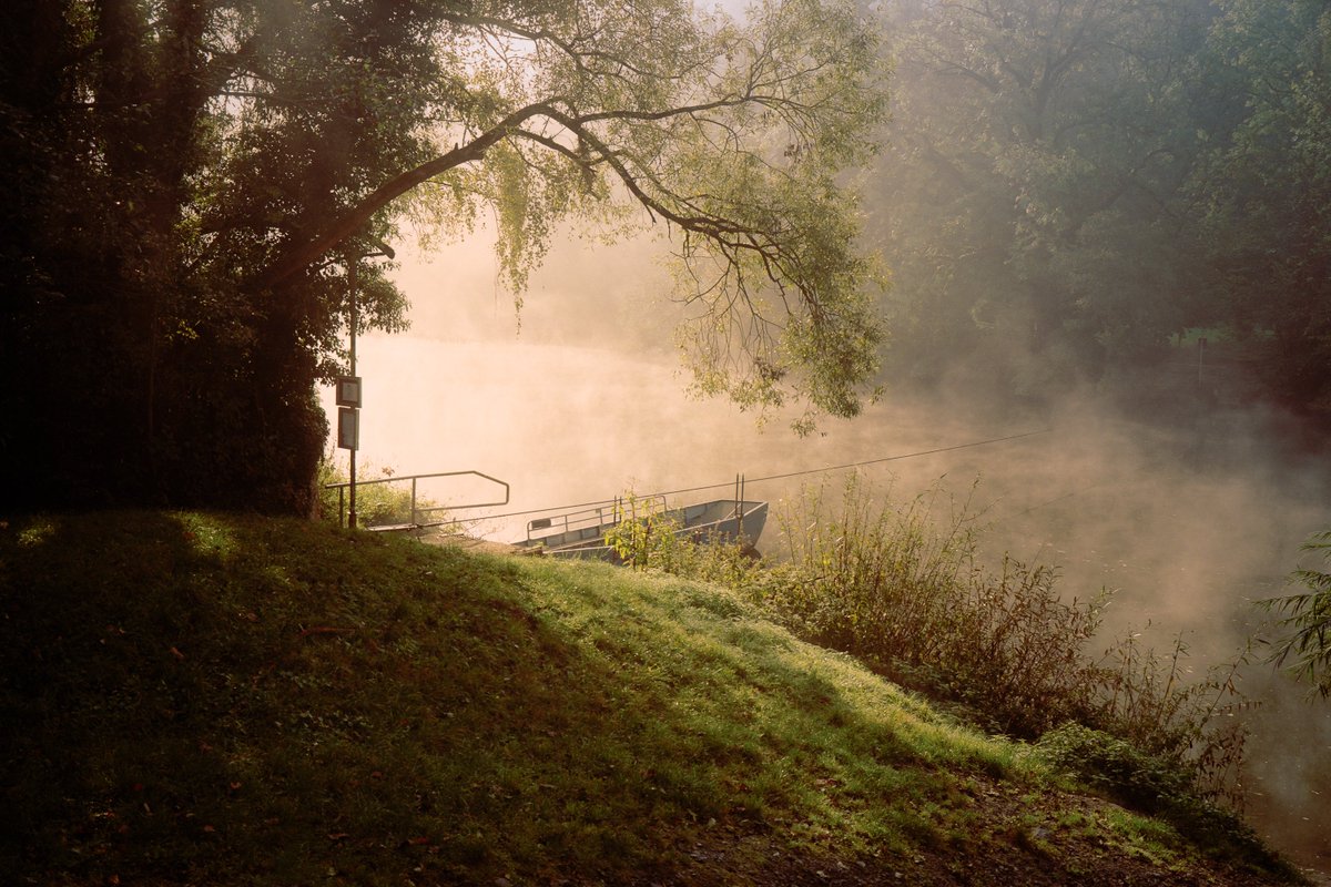 The camera.     📷     The photos.