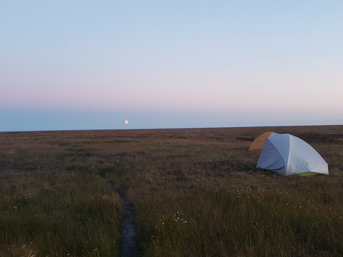 PermafrostPaths's tweet photo. We're looking for a field research assistant to join our team for summer sampling!! Come spend the summer in the glorious Yukon-Kuskokwim Delta, AK. 

https://t.co/B6qo7aqu7q https://t.co/p8xRezzb6G