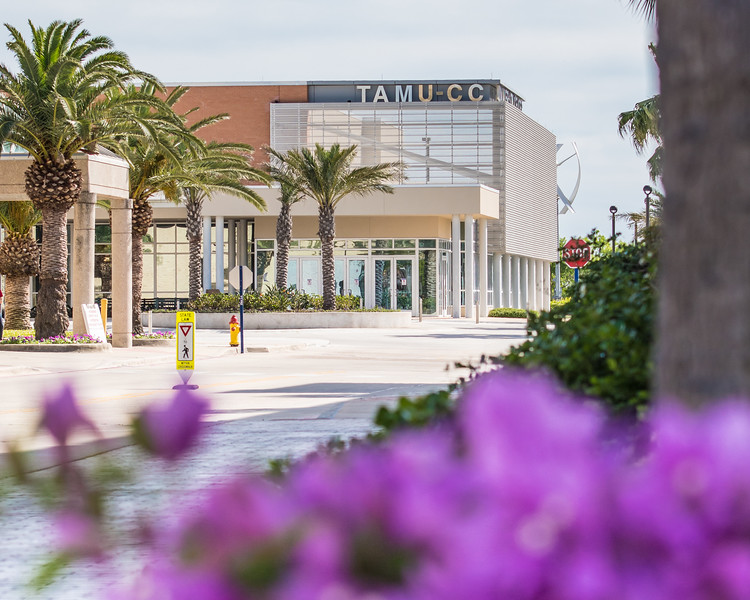 TAMUCC Registrar's Office on Twitter "Join us for Super Saturday