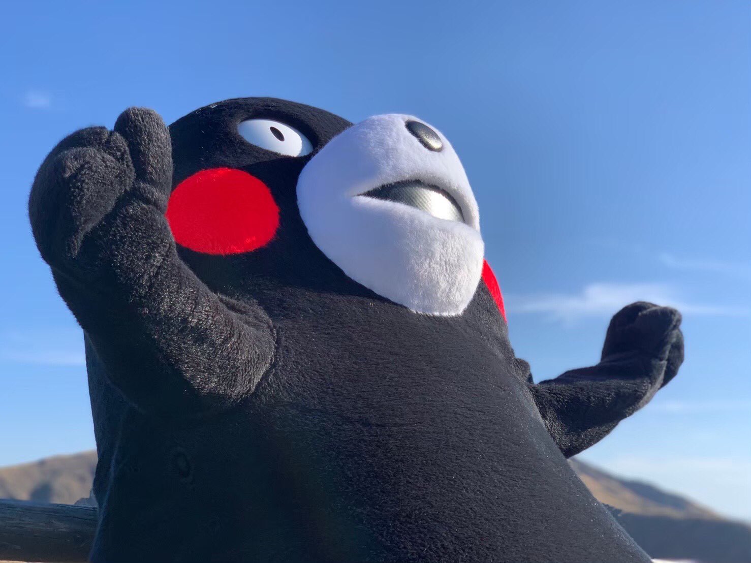 ふるさと割 くまモン様 専用 ぬいぐるみ V Pravda Ru