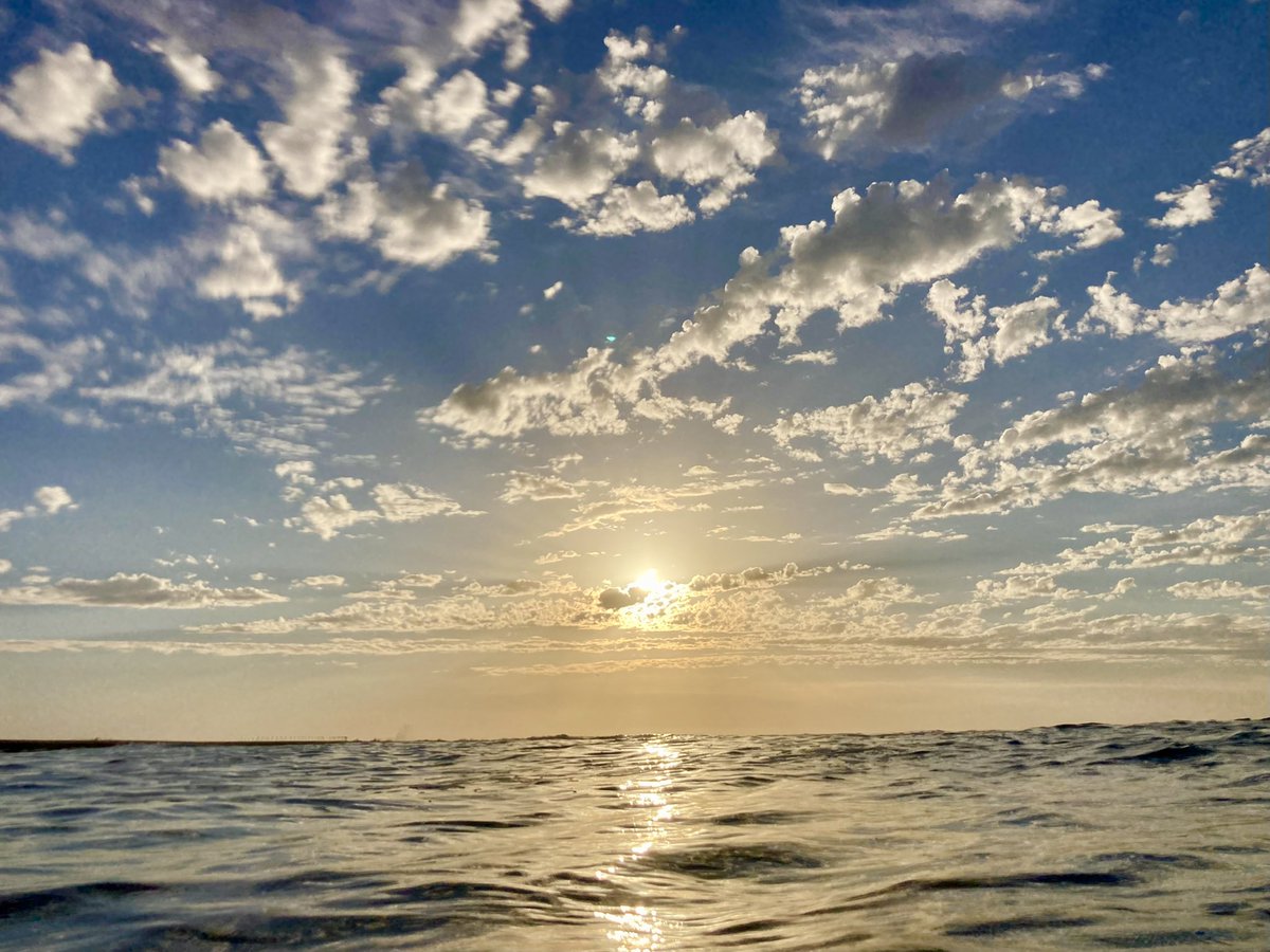 mikecollo's tweet photo. #newy #muloobinba https://t.co/DuJby6wAoZ https://t.co/TVc2FBsLvq
