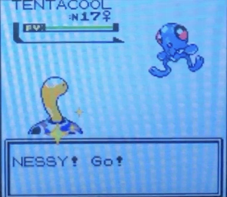LaKlasse1's tweet photo. Mon premier shiny 2G, mon 50e shiny ! Il est magnifique ! Shasse commencée à la BEF et enfin terminée , il m’aura fallu 8452 resets pour obtenir ce magnifique Caratroc ! 💫 https://t.co/f2YGWvdfLk