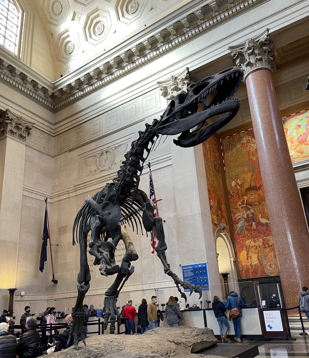 LBtheArchivist's tweet photo. Out here living my paleontology dreams💖 https://t.co/ylAoywFqOv