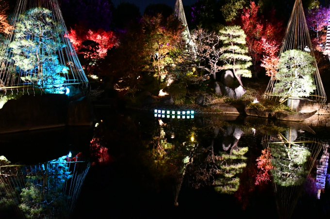 紅葉ライトアップのtwitterイラスト検索結果 紅葉ライトアップのtwitterイラスト検索結果