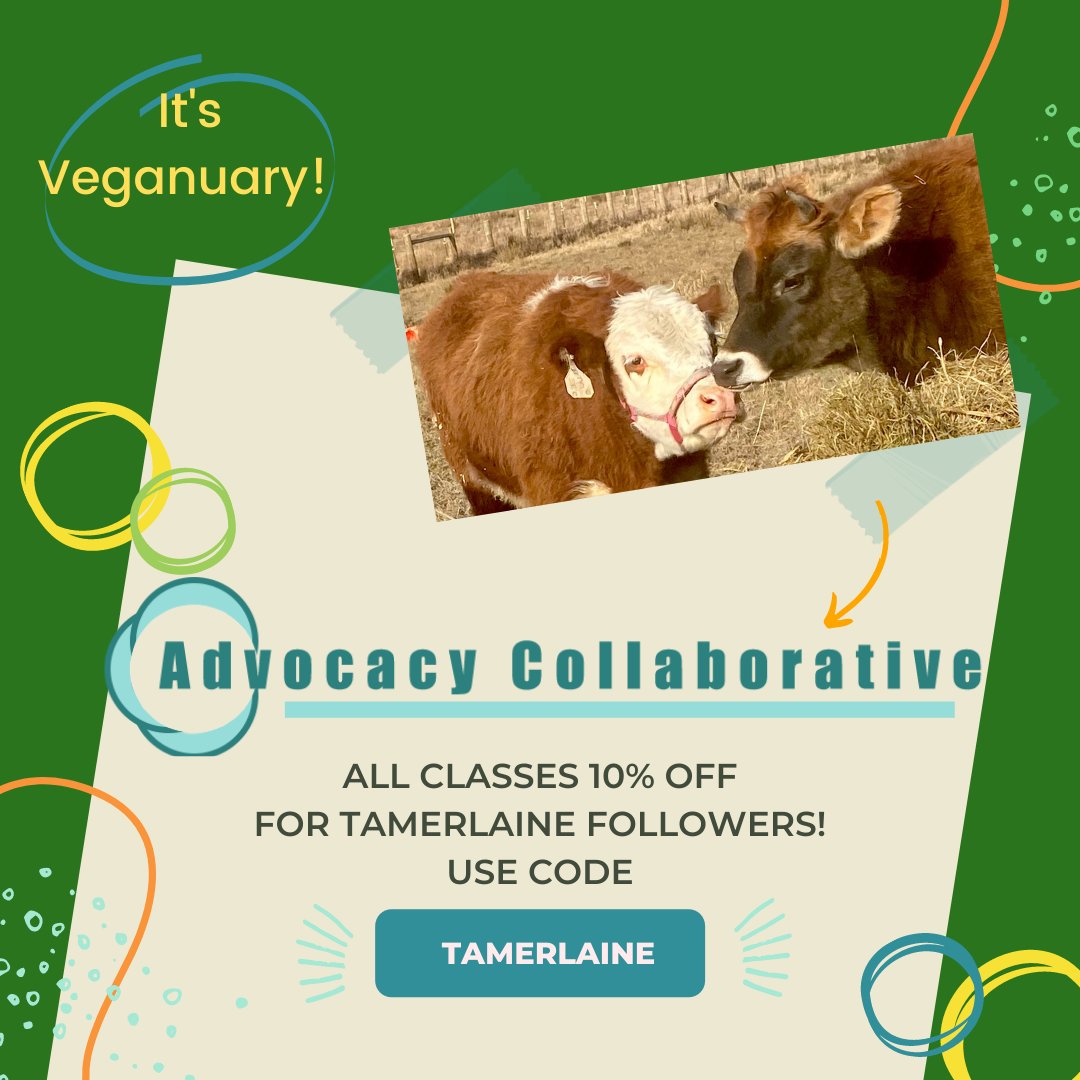 TamerlaineFAS's tweet photo. #Veganuary Day #14!
Today, we're vegan because it feels GOOD to walk the walk. Now, learn the best way to talk the talk!
Tamerlaine followers! Get 10% on any AMAZING @AdvocacyCollab classes! Help others have THEIR #vetrix moment!
https://t.co/eBOAaSDPcT
#friendsnotfood https://t.co/cgvgaINZbl