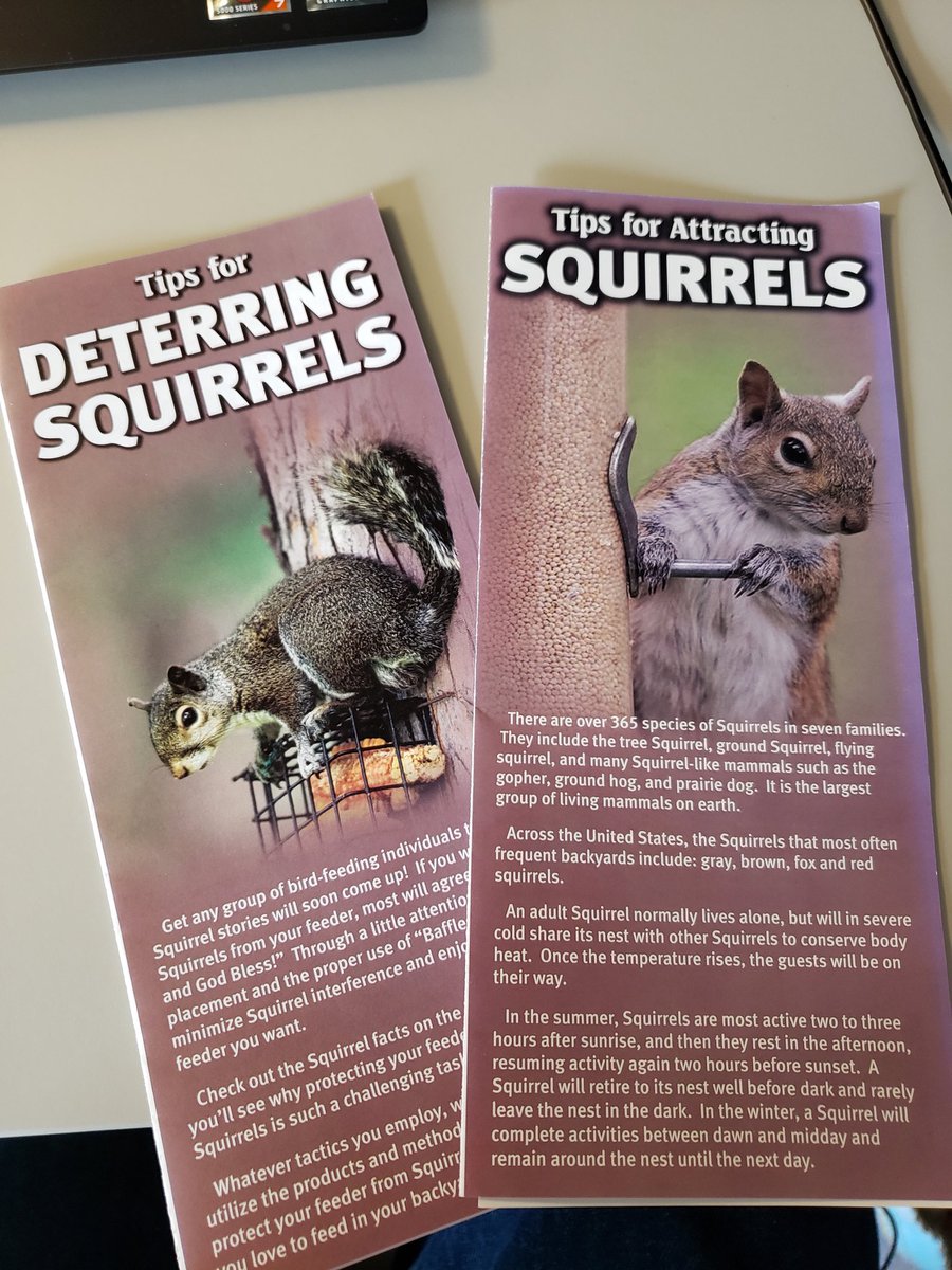 There are only two types of people in the world.   #squirrels #squirrellife