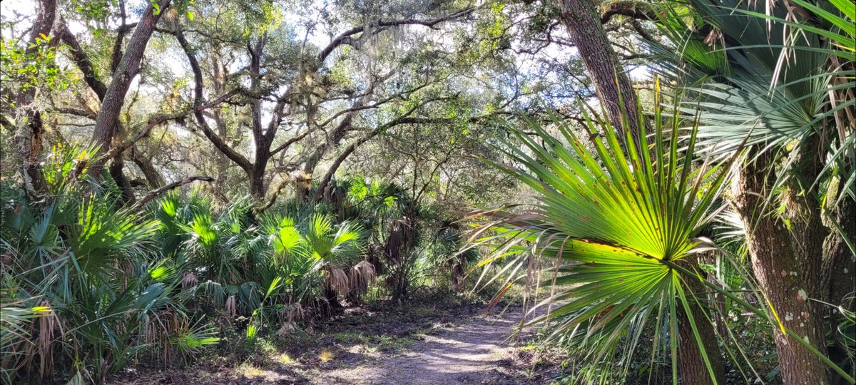 conservNP tweet picture