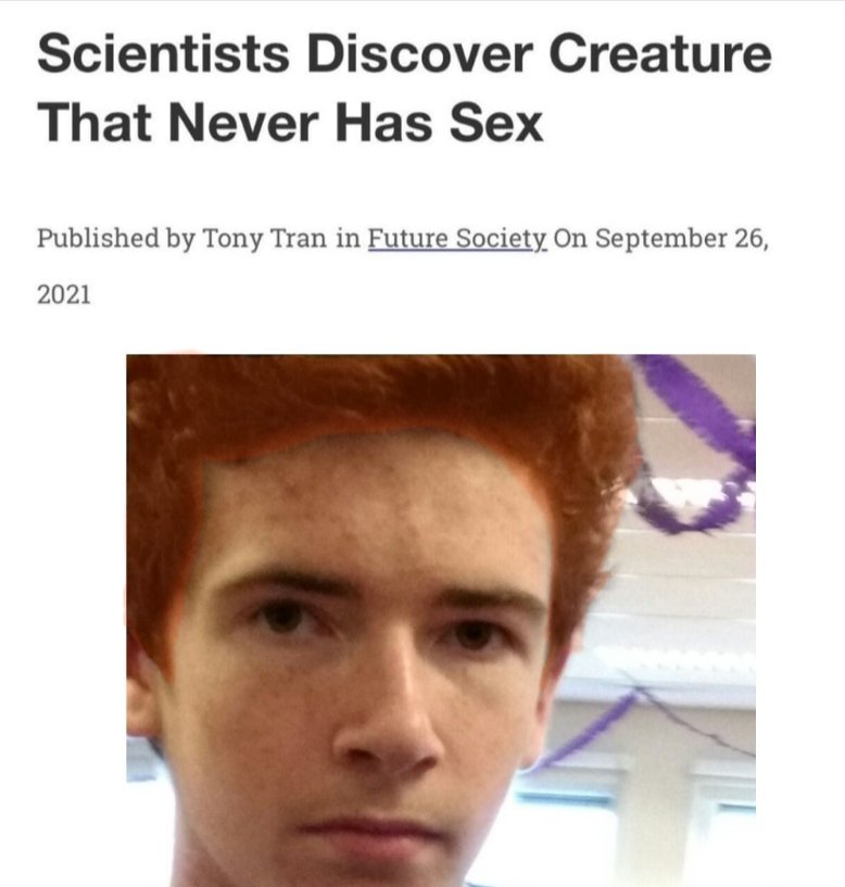 Dylan is echt n kunstenaar