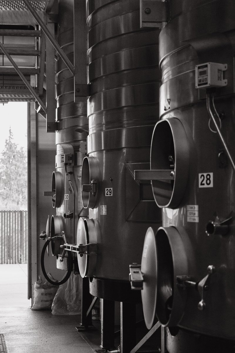 Fermentation vessels in the winery. During harvest, our grapes are carefully destemmed and sent to steel tanks for a whole-berry fermentation.