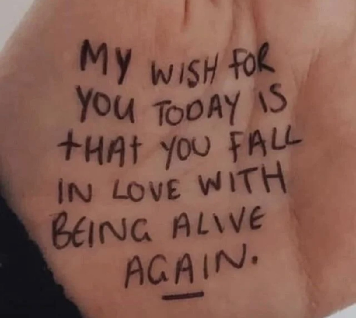 Respectful Memes (@respectfulmemes) on Twitter photo 