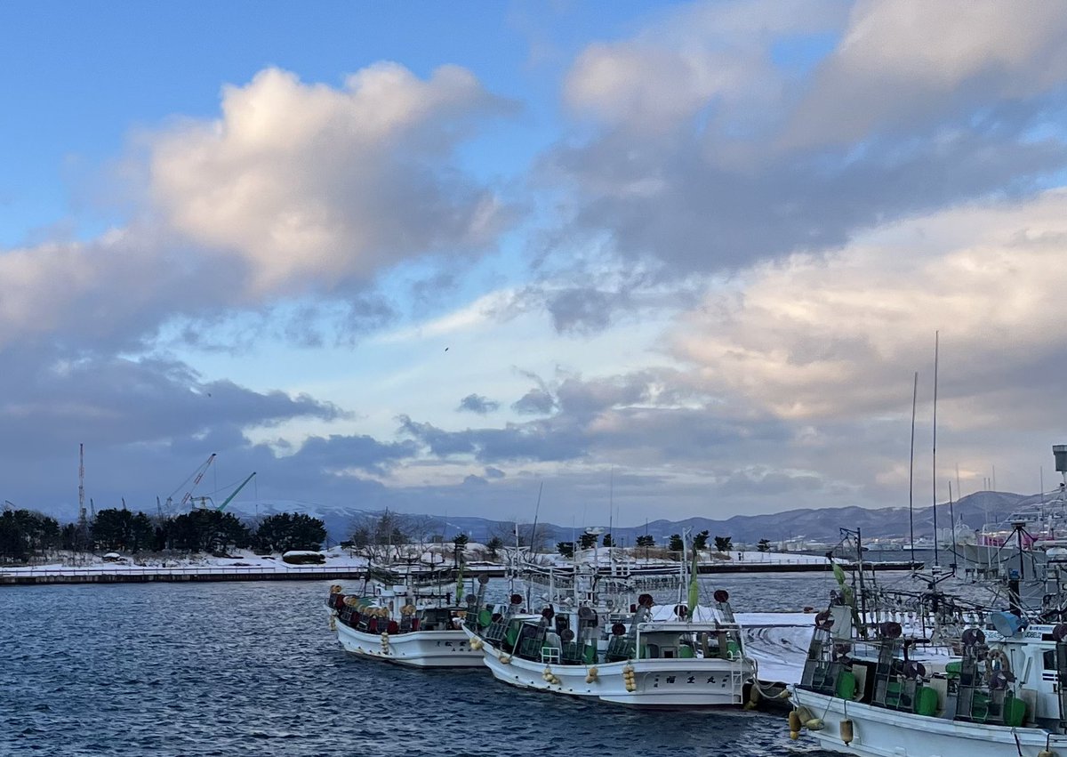 14日 RUN 雪が降って氷を覆い お陰様で 走ることができた🙌 日差しもあり気持ちよかったぁ ＃マラソン練習 ＃海 ＃自然 ＃生き物