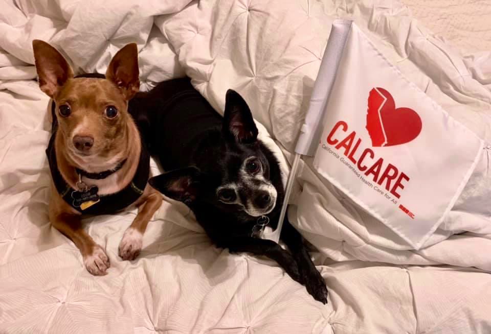 1alyssakang's tweet photo. Igor and Smokey support #CalCare for all humans and then are going to push for #PetCare next! 🐾 

#AB1400 #DressUpYourPetDay #NationalDressUpYourPetDay https://t.co/TGQDFQzaVI