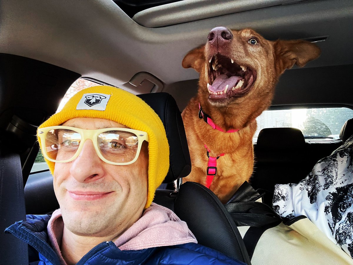 ericriggsbee's tweet photo. Someone is excited to go play in the snow. #dog #snowdog #bordercollie #germanshepherd #portlandadventures https://t.co/pN6SKQtTIz