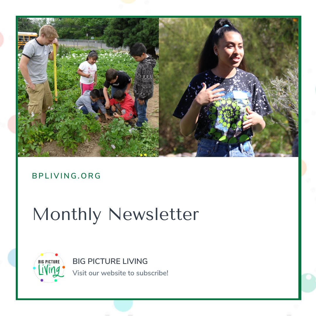 bp_living's tweet photo. 🚨Don't miss out! 🚨
Stay in the loop about our Big Picture Living Contest launching NEXT MONTH by subscribing to our newsletter.
Visit: https://t.co/ipgIQIpJic 👈
#LifestyleMedicine #BPLiving #studenthealth https://t.co/5qxXVnBhIp