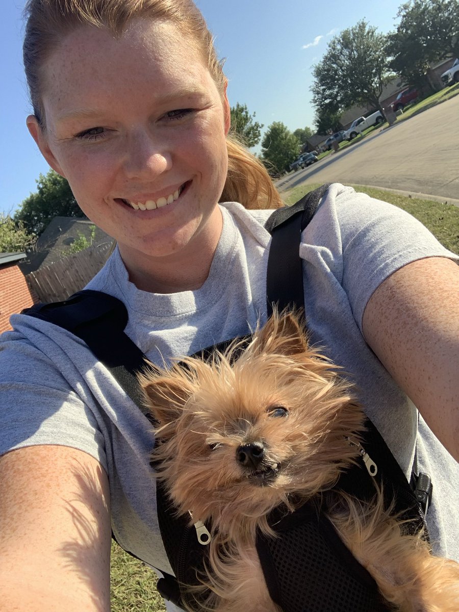 Ginger_Allie's tweet photo. How it started vs. how it’s going. https://t.co/sBP8poRJLe