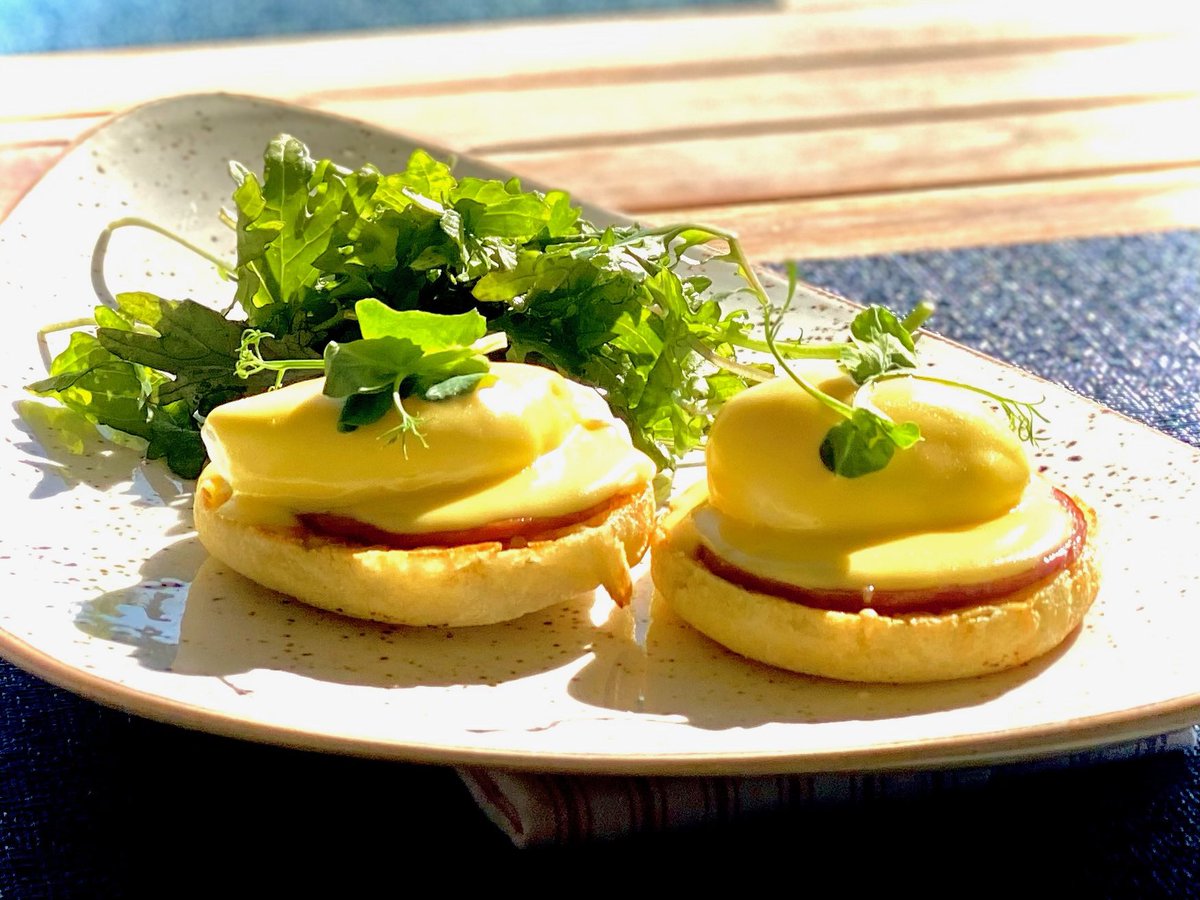 mnmhamilton's tweet photo. Excited for our brunch offerings at Eighty Ocean Kitchen and Bar. 9am to 3pm Saturday and Sunday. Live music on Sunday from 11am to 3pm. @jekylloceanclub 

#jekylloceanclub #eightyocean #beachwalkbrunch #bestbrunch #livemusic https://t.co/WuNXJcB9Xf