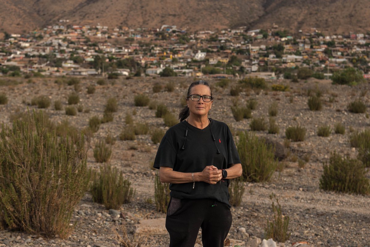 Chamila Rodríguez tweet media