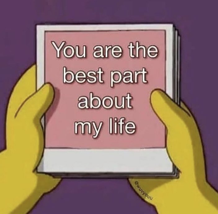 not cute & kinky memes tweet media