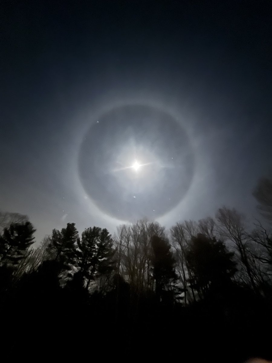 Kelly Campbell tweet media