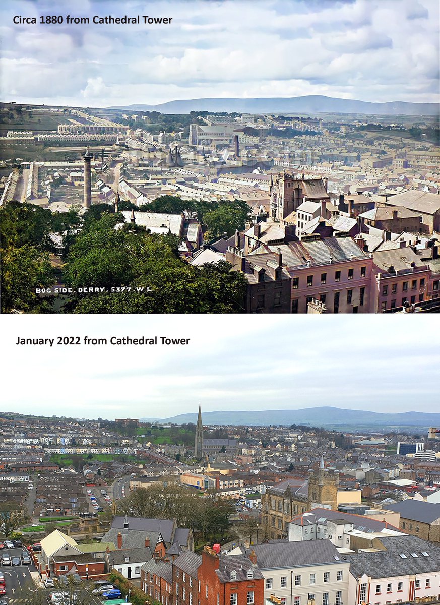 Daniel Ó Coileáin tweet media